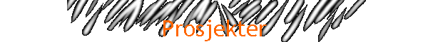 Prosjekter