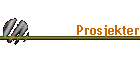 Prosjekter
